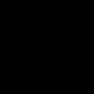 Meet your Posher, Keato